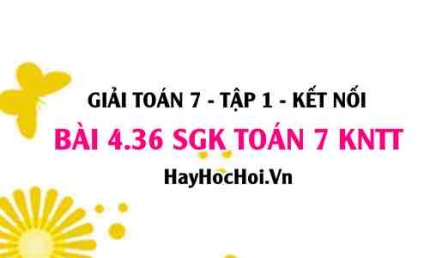 Bài 4.36 SGK Toán 7 tập 1 Kết nối tri thức